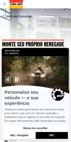 https://can-am.brp.com/off-road/br/pt/monte-seu-proprio/veiculos-todo-terreno/renegade.html