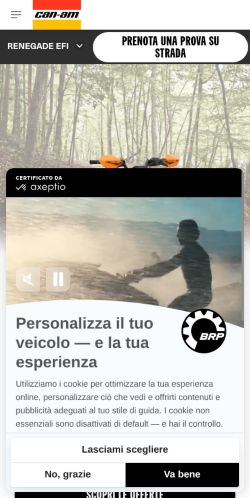 https://can-am.brp.com/off-road/it/it/modello/quad/bambini/renegade-efi.html