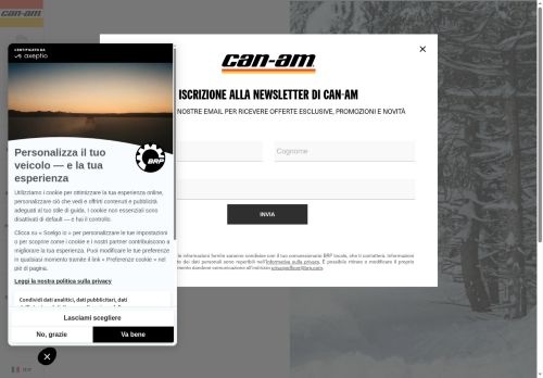 https://can-am.brp.com/off-road/it/it/Errore/internet-explorer-11.html