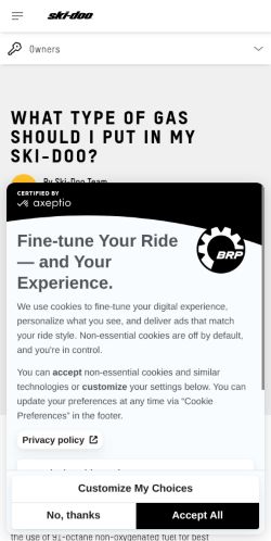 https://ski-doo.brp.com/gb/en/owners/your-vehicle/vehicle-information/what-type-gas-snowmobile.html